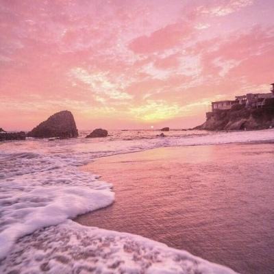 金沙乐娱场·官方网站