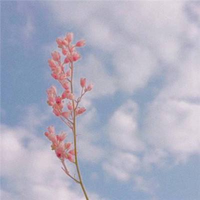 皇冠2登录平台首页截图