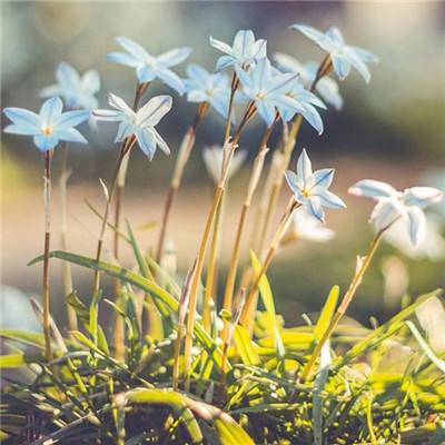 万博ManBetX手机下载